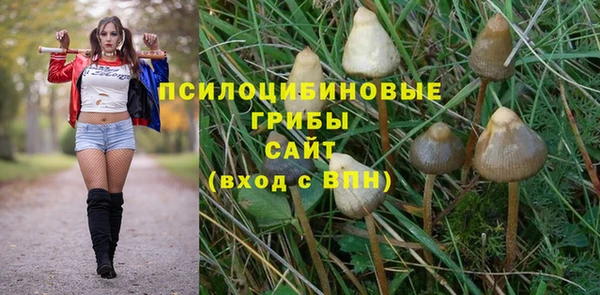 синтетический гашиш Арсеньев
