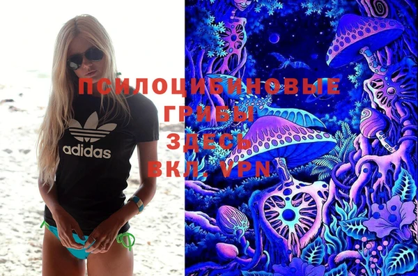 ПСИЛОЦИБИНОВЫЕ ГРИБЫ Армянск