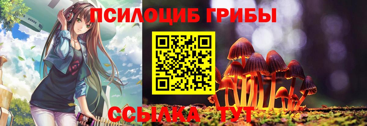 Мытищи  Псилоцибиновые грибы MAGIC MUSHROOMS  наркота  Вход с VPN 